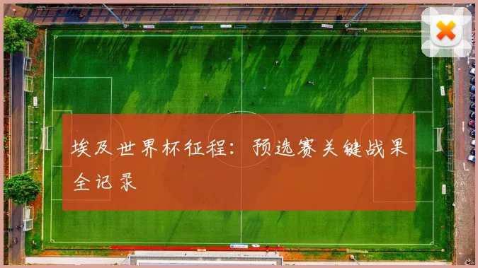 埃及世界杯征程：预选赛关键战果全记录