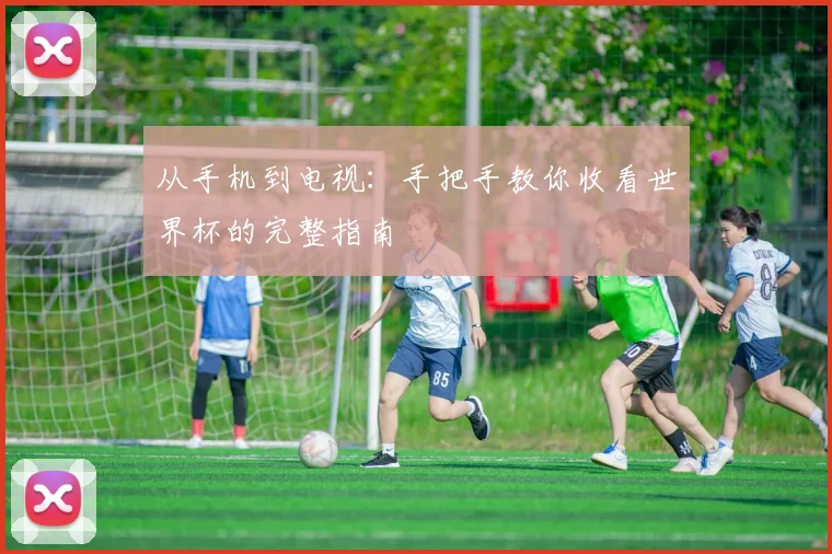 从手机到电视:手把手教你收看世界杯的完整指南