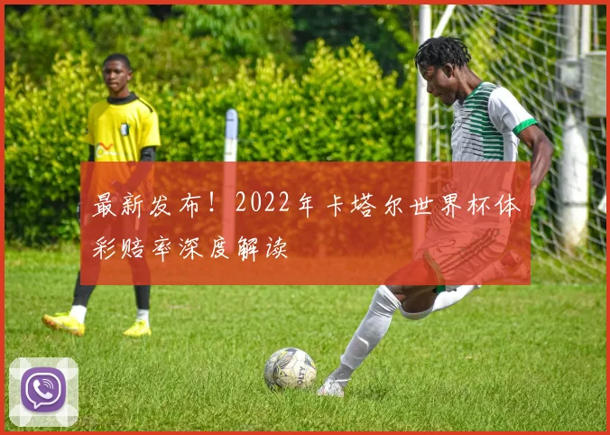 最新发布！2022年卡塔尔世界杯体彩赔率深度解读